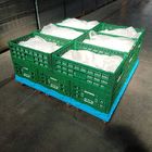 Πράσινο πλαστικό κλουβί 600x400x220cm αποθήκευσης για το λαχανικό φρούτων