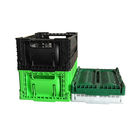 πλαστικό κλουβί 5L αποθήκευσης ύψους PP 120mm ανοικτό πράσινο για το λαχανικό