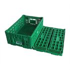 Πράσινα πτυσσόμενα πλαστικά κλουβιά φρούτων φορητά για τις εγχώριες αγορές