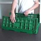 Πράσινα πτυσσόμενα πλαστικά κλουβιά φρούτων φορητά για τις εγχώριες αγορές